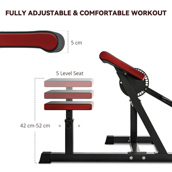 Preacher Curl Bench