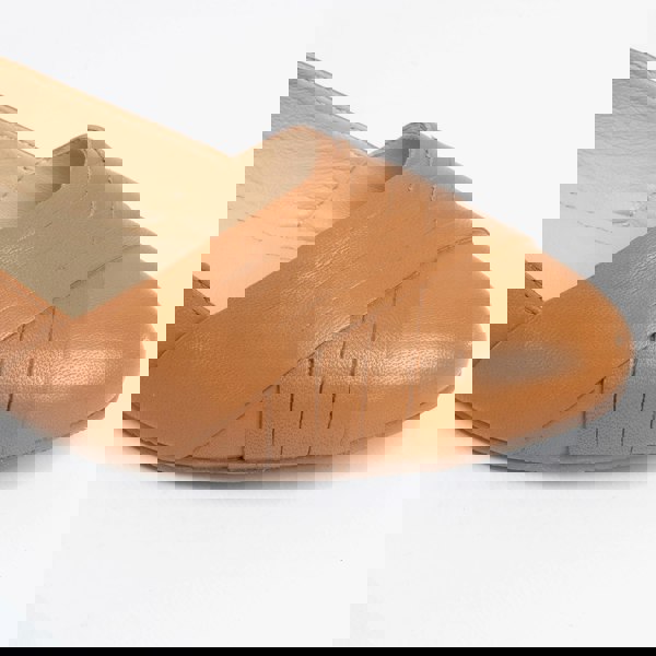 1565266062-56311500.jpg