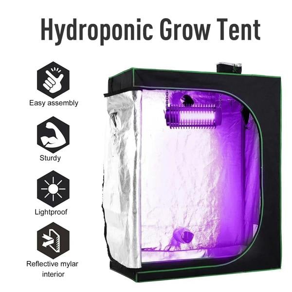 Black grow tent with green trim and reflective mylar interior, showing a purple grow light