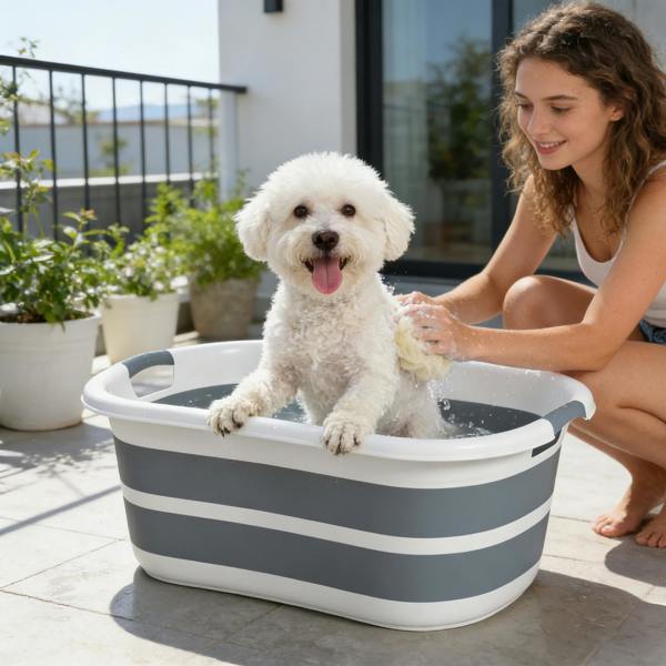 Pet Swimming Pool