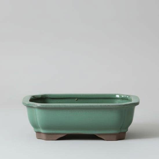 Yorkshire Bonsai 18cm Glazed Bonsai Pot | Rectangle | 18cm x 14cm x 4cm | Green