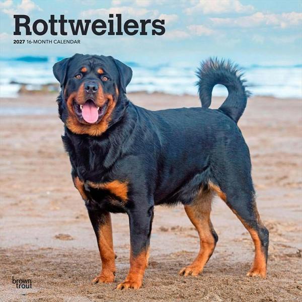 Rottweilers Calendar 2027, Wall Calendars, Month To View, Dogs, Gift