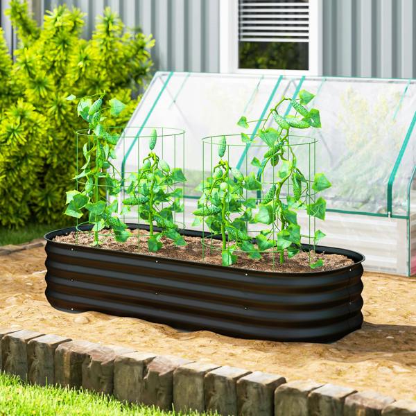 Garden Bed