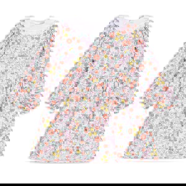 Baby Girls Peter Pan Collar Floral Printed Dress with Tights, Multicolour - Minicuddles