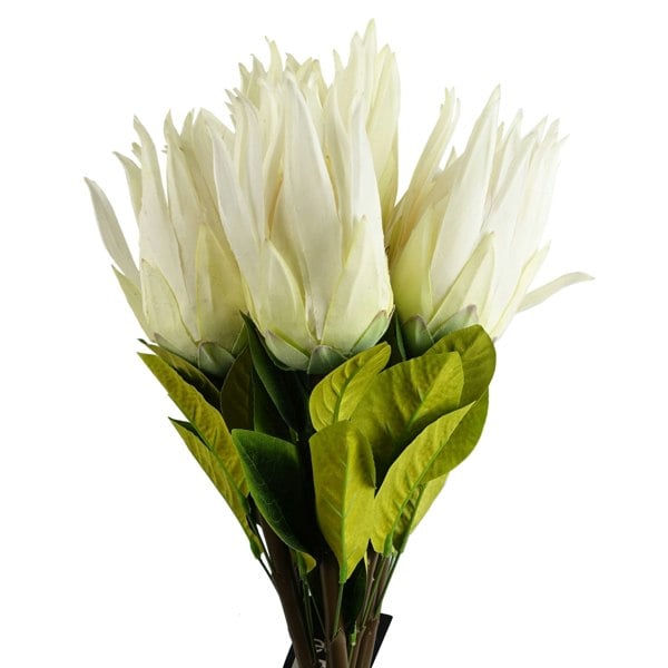 Leaf Pack of 6 x 65cm Protea Sugarbush Flower Stem - White