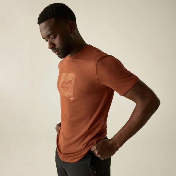 Regatta Mens Fingal Abstract Stretch Logo T-Shirt - Rooibos Tea - 