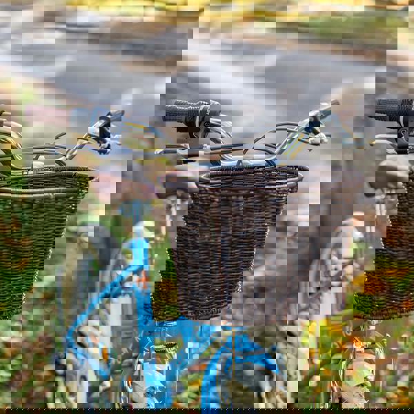 Elswick Cherish 20" Kids Heritage Bike