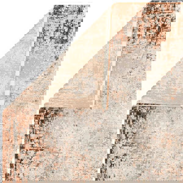 Asiatic Kuza Border Terracotta Rug