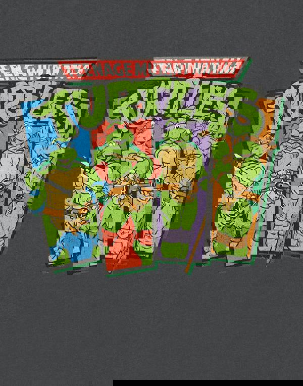 Teenage Mutant Ninja Turtles Mens Grey Retro Sweatshirt Sweatshirt