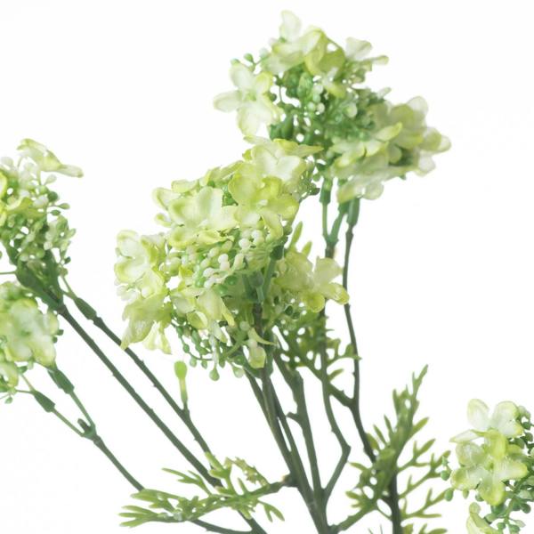 Wyld Haus Set of 3 Artificial Flowers Green Plum Blossom Spray