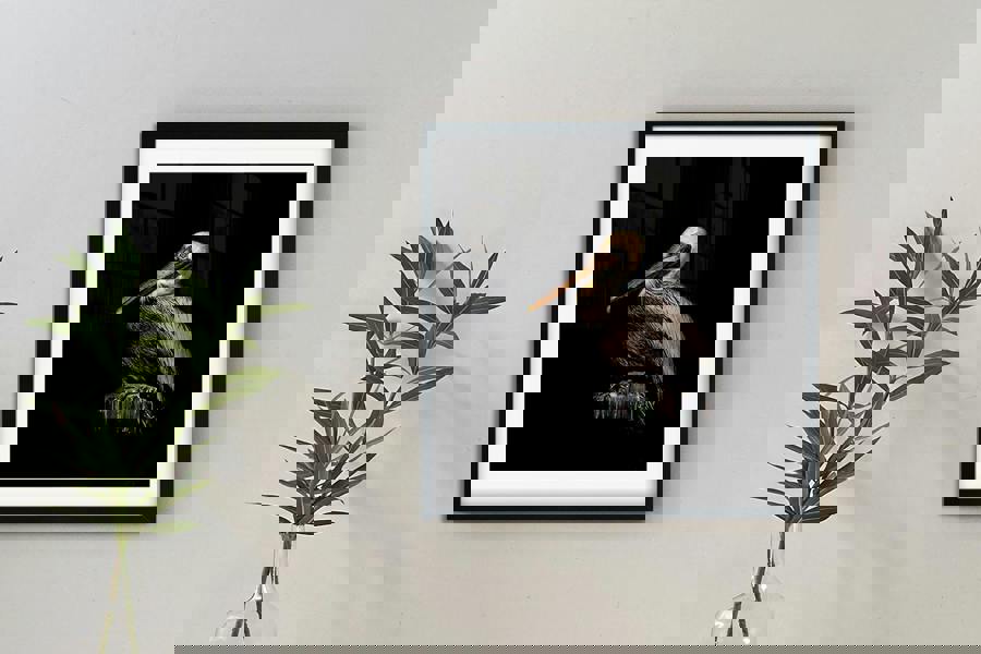 Pelican bird wall art print