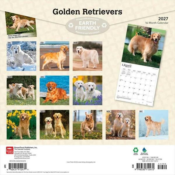 Golden Retrievers Calendar 2027, Wall Calendars, Month To View, Dogs, Gift