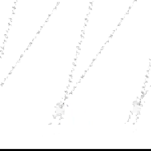 Mylee London Miniature Pinscher Silhouette Silver Necklace - Personalised
