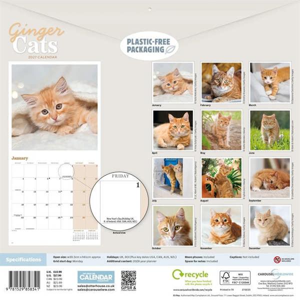 Ginger Cats Calendar 2027, Wall Calendars, Month To View, Cats, Gift