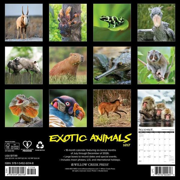 Exotic Animals Calendar 2027, Wall Calendars, Month To View, Animals, Gift