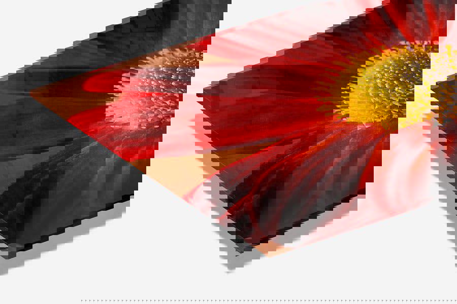 red flower modern art print