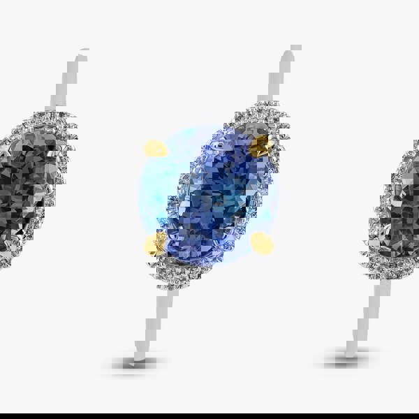 T. H. Baker 18ct White Gold 3.51ct Brilliant Cut Tanzanite & 0.12ct Diamond Halo Ring NTR2027GTZD-18YWG