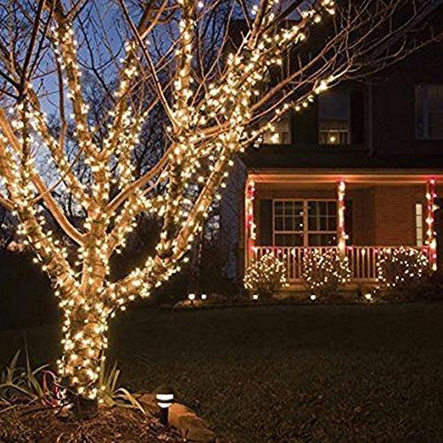 Warm White LED Outdoor String Fairy Lights with Timer and Clear Cable, Family Range image 4