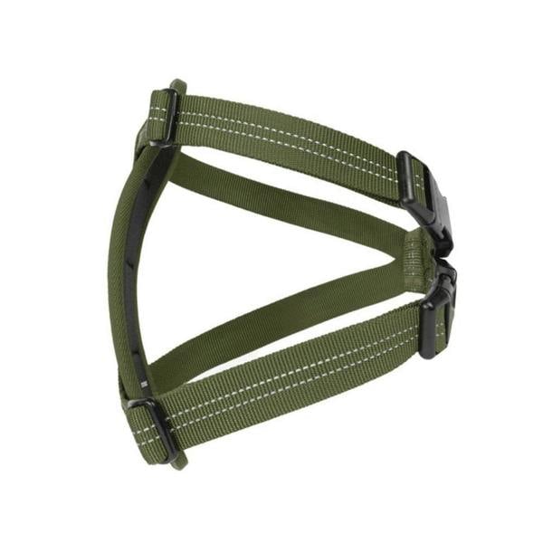 EzyDog Essential Chest Plate Dog Harness in Green