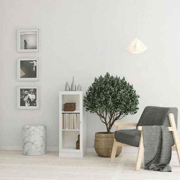Furniture To Go Basic Low Narrow Display Cabinet in White (2 Shelves) with Glass White Door