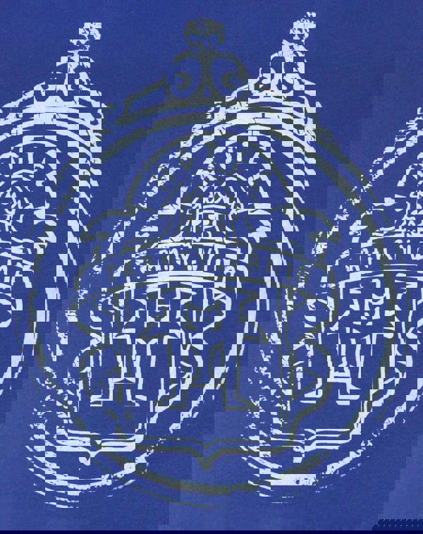 Hotel Transylvania Boys Blue Logo Short Sleeved T-Shirt