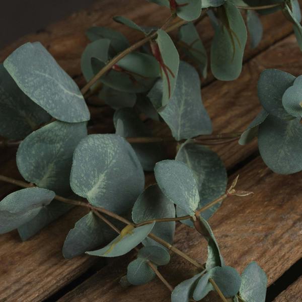 Wyld Haus Set of 3 Artificial Flowers Variegated Eucalyptus Stems