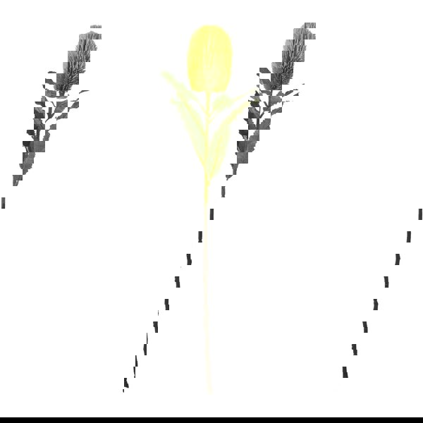 Hill Interiors Banksia Serrata Artificial Flower - Green