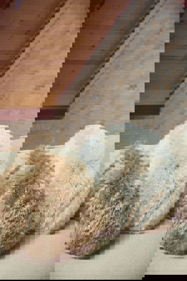 Angelite Cushion | Ø30 cm | LW