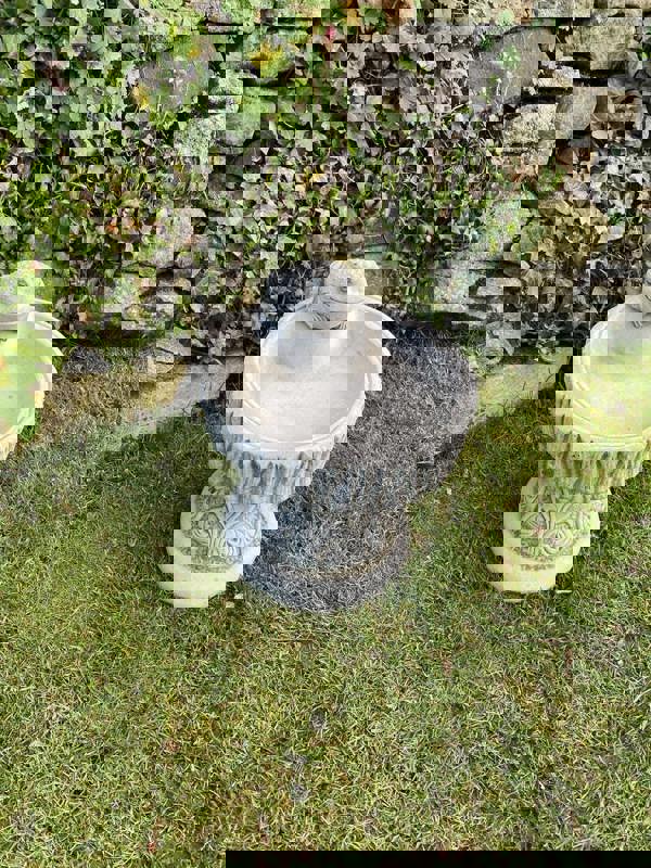 Rustic Garden Birdbath with Frog atop