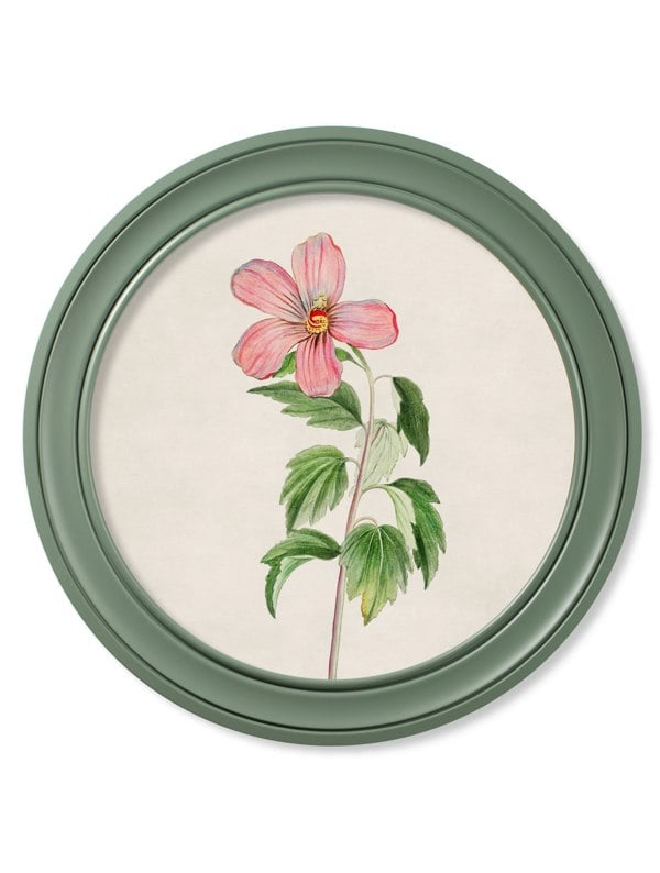 Exceptional Art c.1780 Flowering Plants Round Frame Green