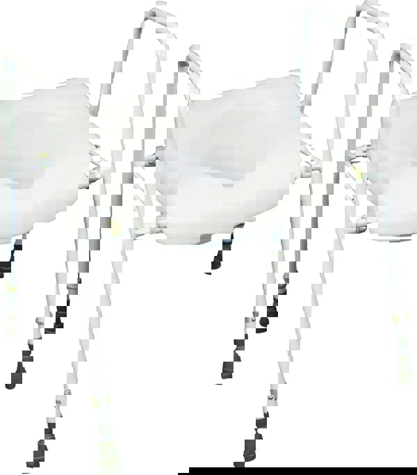 Aidapt President Raised Toilet Seat And Frame