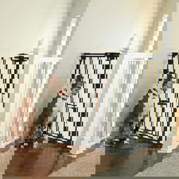 Pet Safety Gate Stair Pressure Fit with Lockable Cat Flap Pet Gates Living and Home