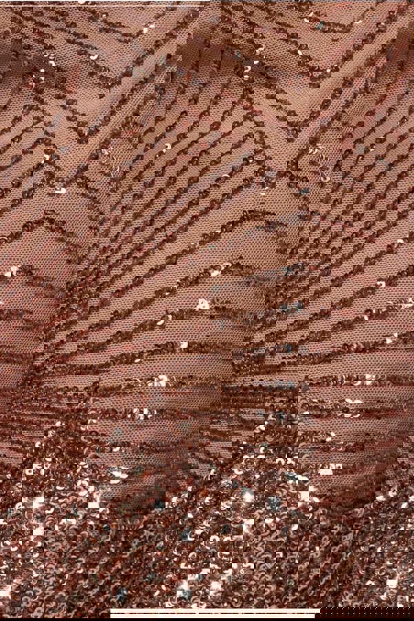 Sequin Starburst Cape Sleeve Mini Dress - Champagne DR4748