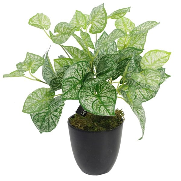 Leaf 40cm Artificial Caladium Plant with pot