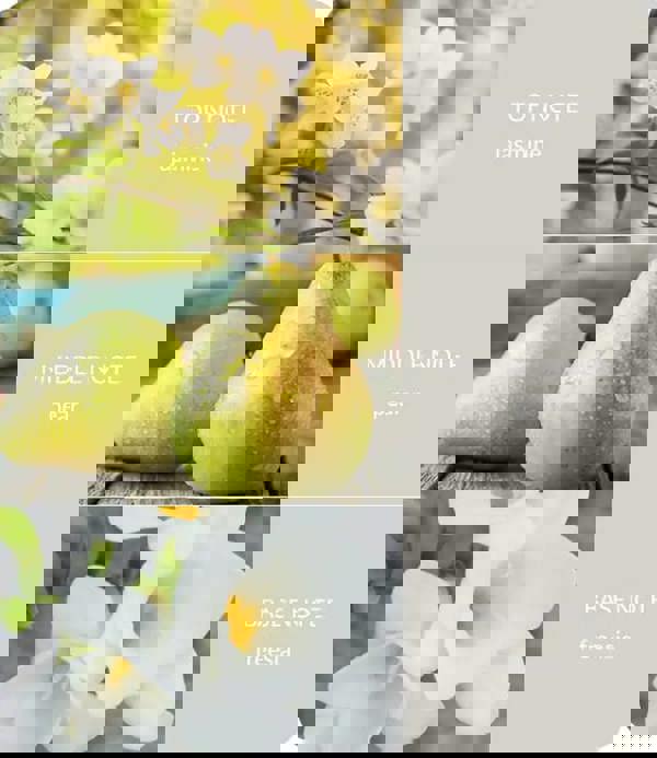 Heart & Home White Jasmine & Freesia - 2 Wick Ellipse Candle