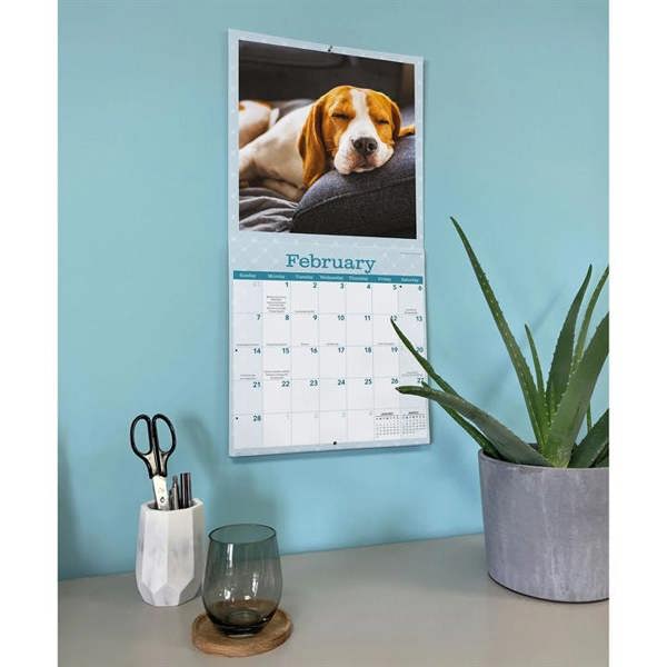 Dog Naps Calendar 2027, Wall Calendars, Month To View, Dogs, Gift
