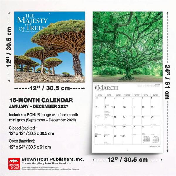 The Majesty of Trees Calendar 2027, Wall Calendars, Month To View, Natural World, Gift