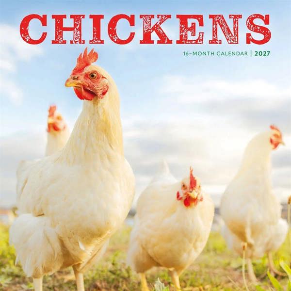 Chickens Calendar 2027, Wall Calendars, Month To View, Animals, Gift