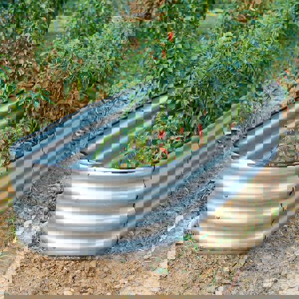 Gr8 Garden Outdoor Raised Bed Planter Oval Galvanised Steel Trough Box 120x61x30cm