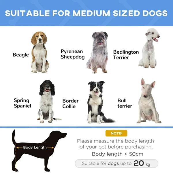 Blue elevated pet bed for medium dogs with black metal frame and cushioned top
