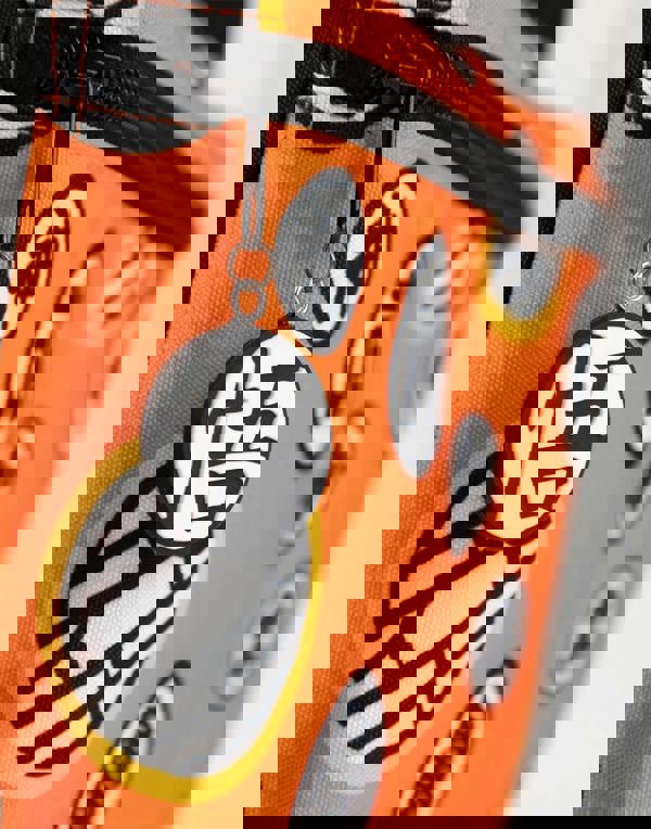 Dragon Ball Z Unisex Kids Blue Front Printed Backpack (One Size)