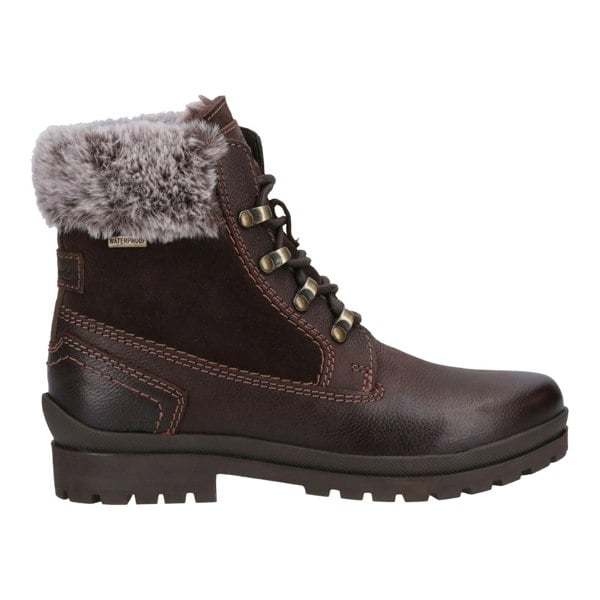 Cotswold Evenlode Leather Women's Brown Winter Ankle Boots