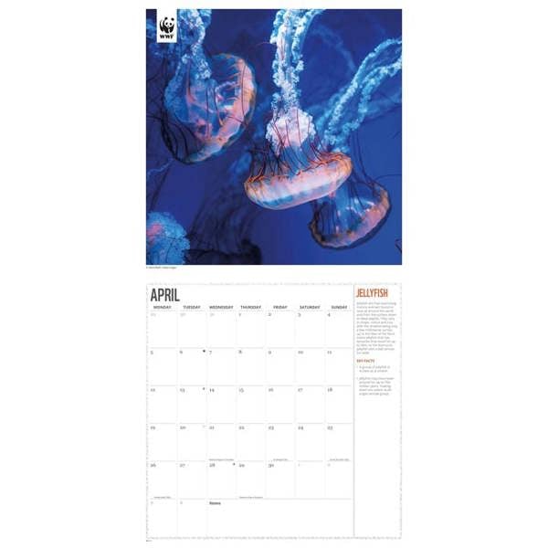 WWF, Oceans Calendar 2027, Wall Calendars, Month To View, Animals, Gift