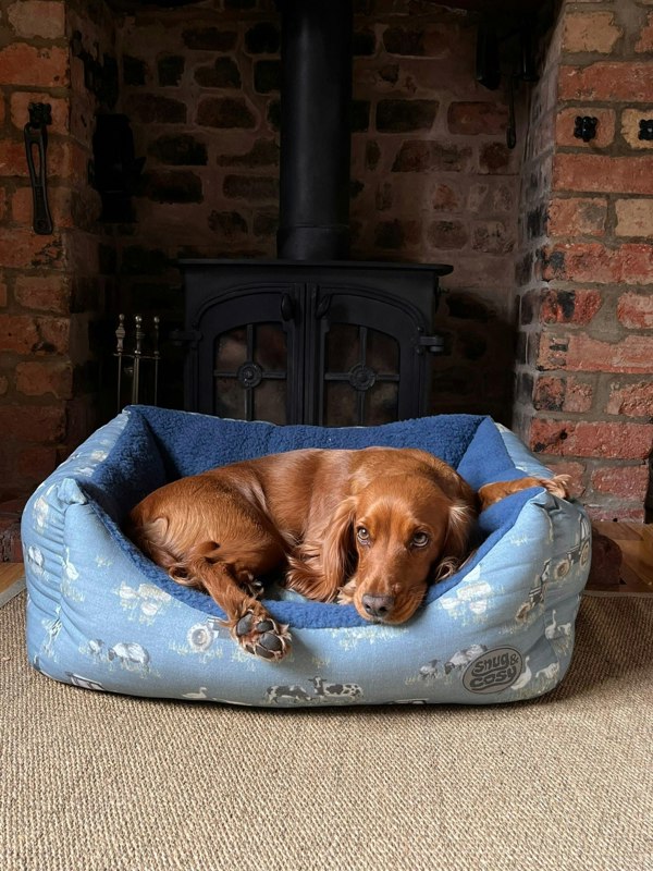 Snug and Cosy Pets Farmyard Blue Rectangle Bed