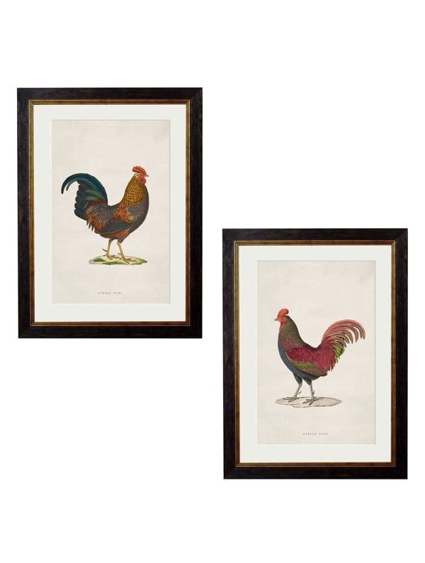 Exceptional Art c.1838 Junglefowl