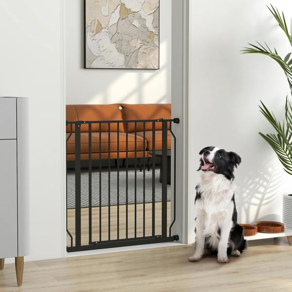 Pet Gate