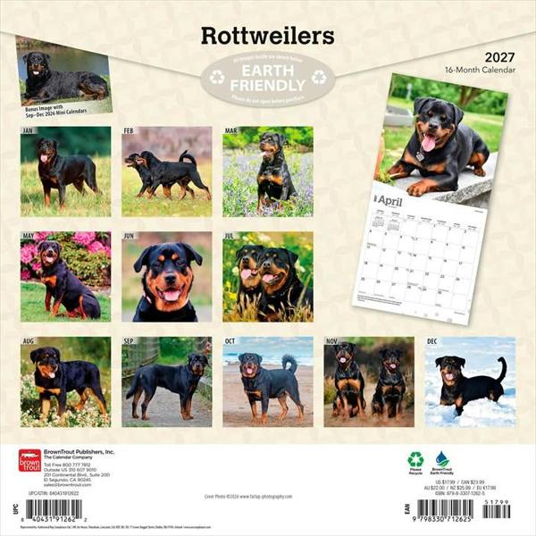 Rottweilers Calendar 2027, Wall Calendars, Month To View, Dogs, Gift
