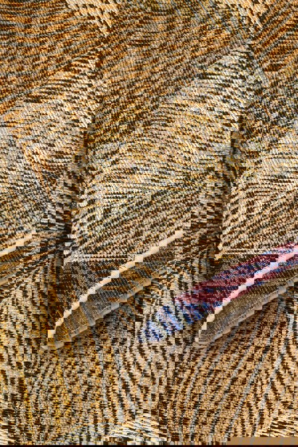 Indoor & Outdoor Rug Eugene Gold Black