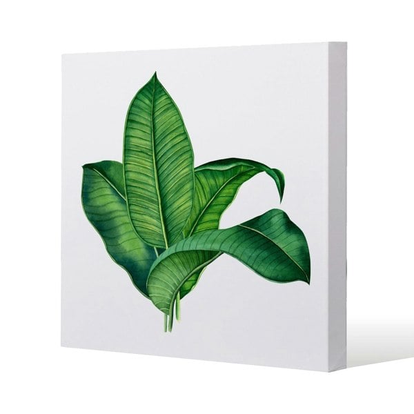 Benjamin Tate Design Bunched Leaves Slim Style Canvas Print  90x90cm , 15mm Slim Real wood.