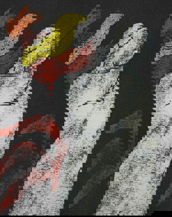 Looney Tunes Mens Black Foghorn Leghorn Short Sleeved T-Shirt